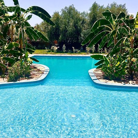 Le Domaine De Carole Marrakech Acomodação com café da manhã Douar Akkara Exterior foto