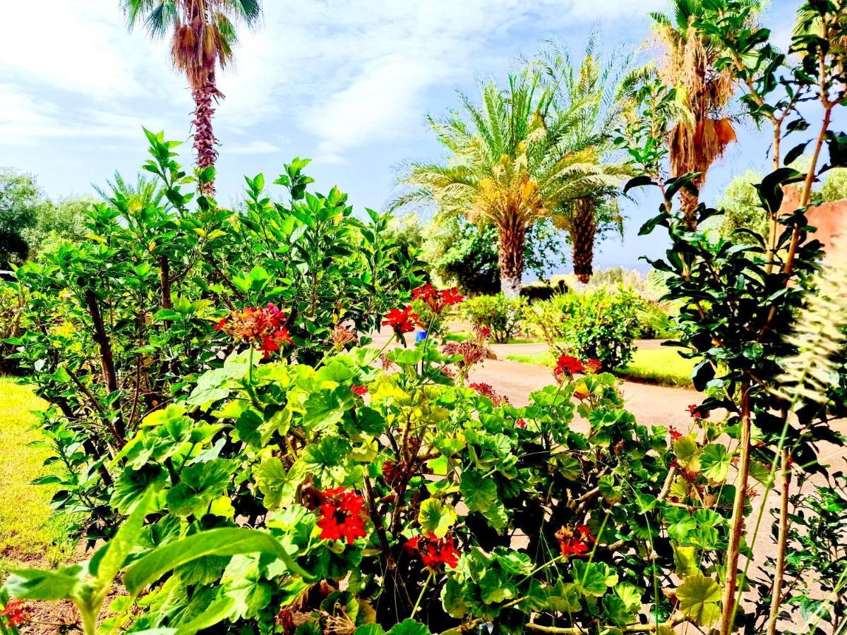 Le Domaine De Carole Marrakech Acomodação com café da manhã Douar Akkara Exterior foto