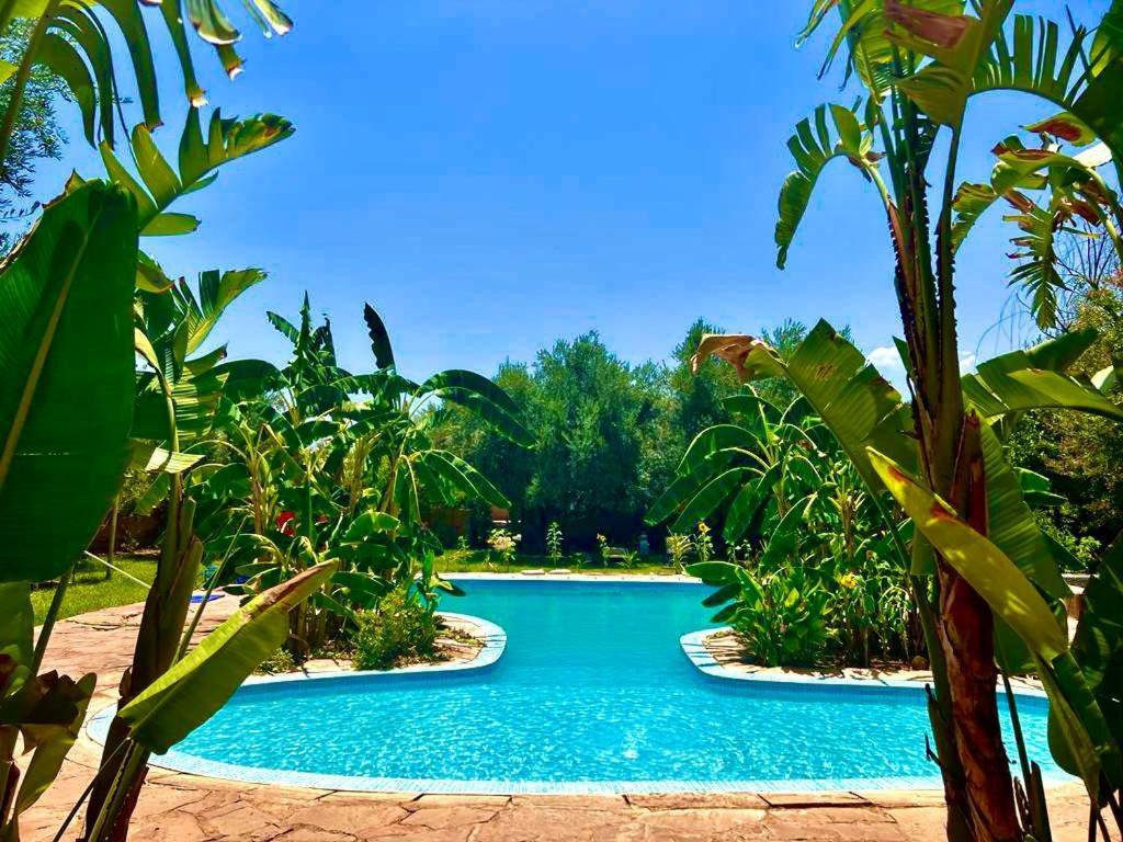 Le Domaine De Carole Marrakech Acomodação com café da manhã Douar Akkara Exterior foto