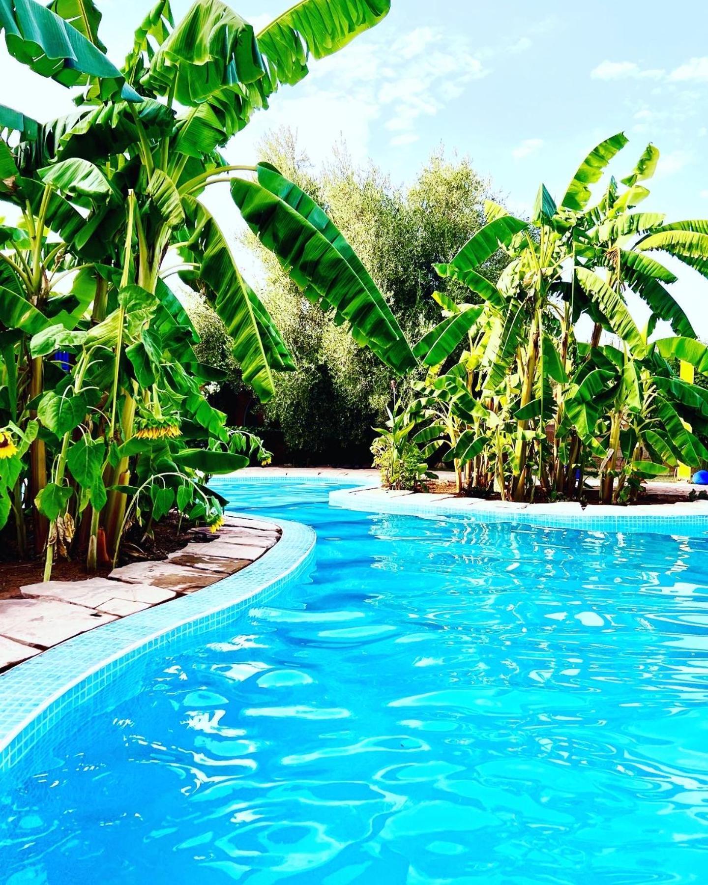Le Domaine De Carole Marrakech Acomodação com café da manhã Douar Akkara Exterior foto