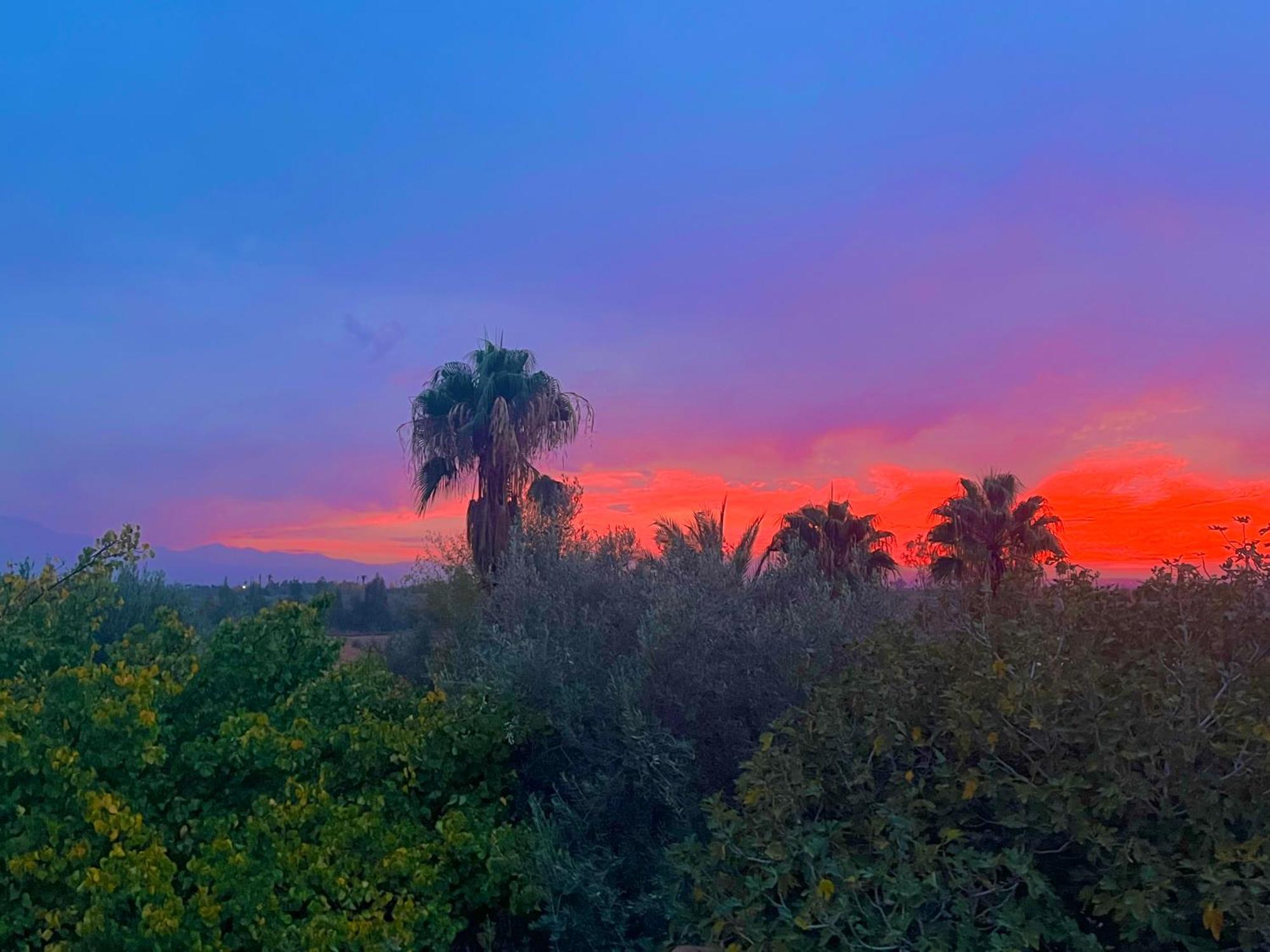 Le Domaine De Carole Marrakech Acomodação com café da manhã Douar Akkara Exterior foto
