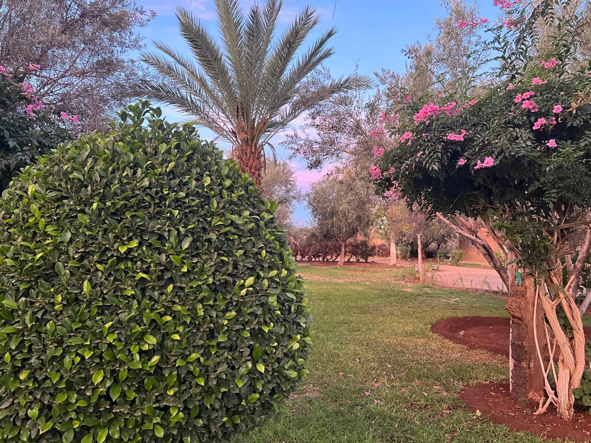 Le Domaine De Carole Marrakech Acomodação com café da manhã Douar Akkara Exterior foto