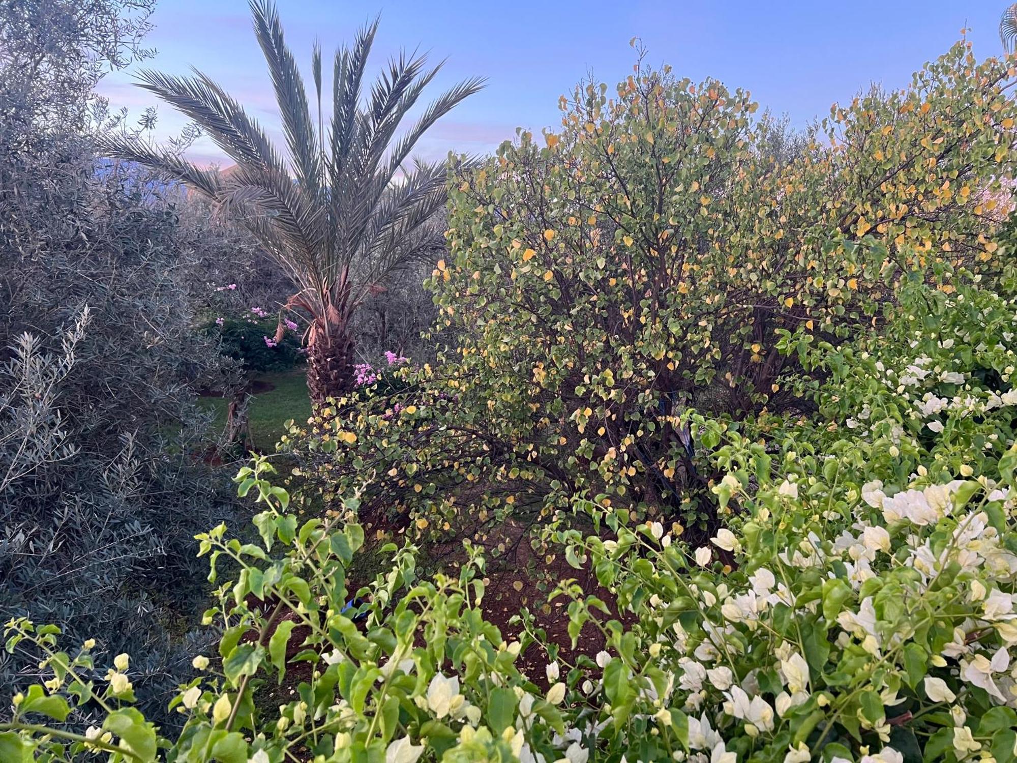 Le Domaine De Carole Marrakech Acomodação com café da manhã Douar Akkara Exterior foto