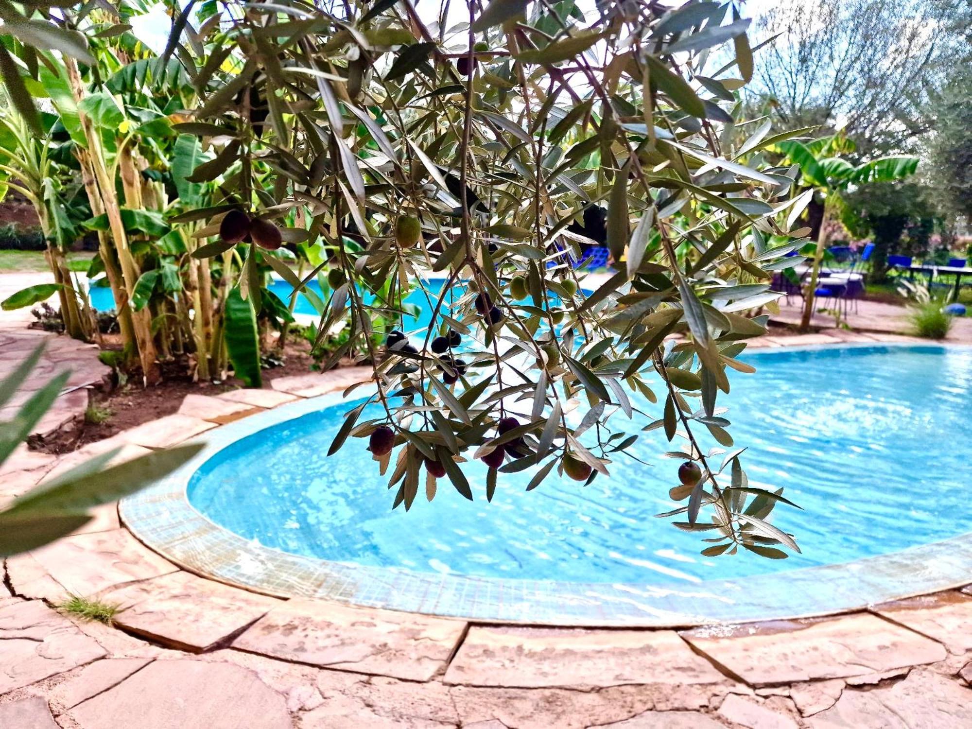 Le Domaine De Carole Marrakech Acomodação com café da manhã Douar Akkara Exterior foto