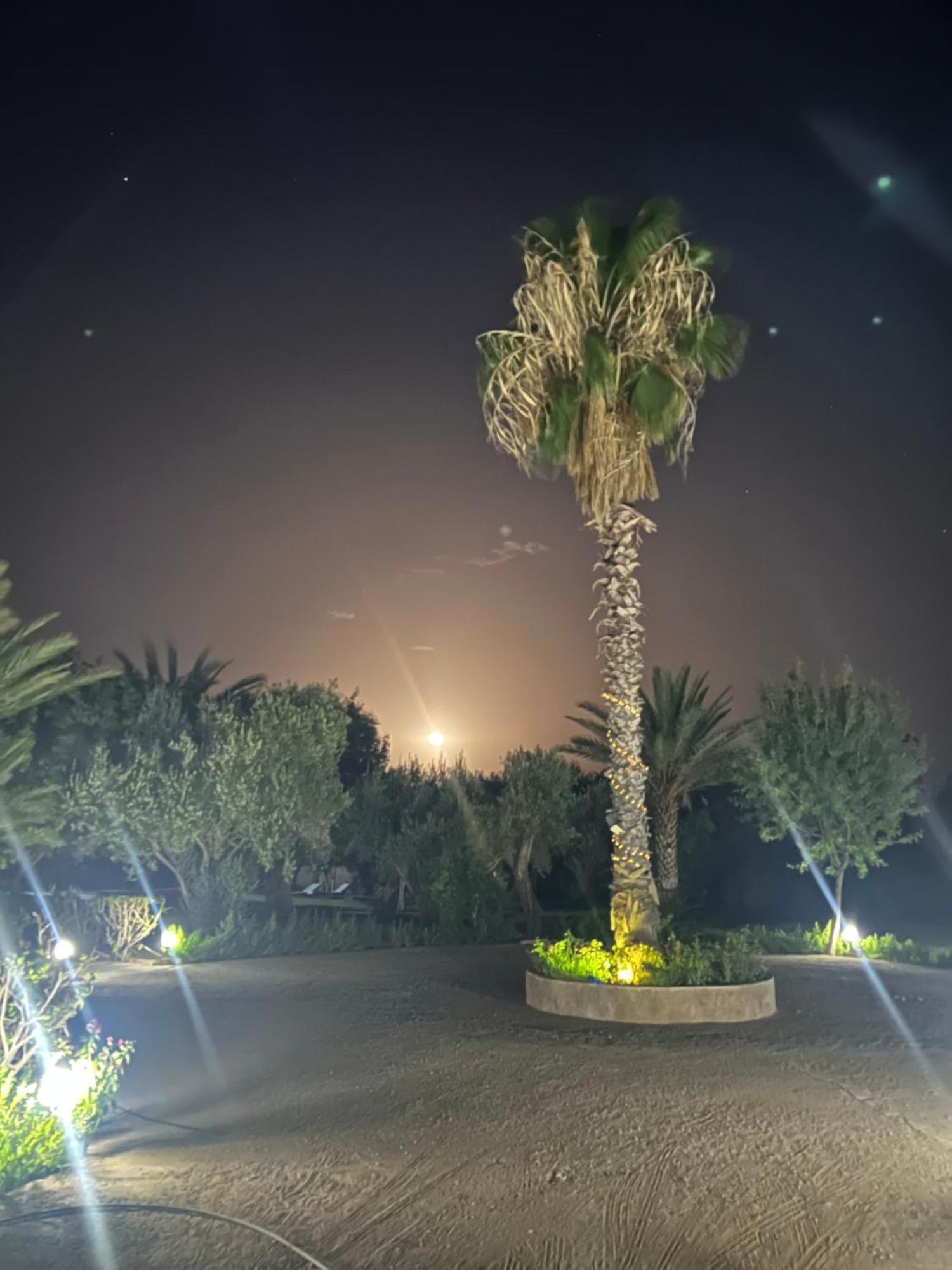 Le Domaine De Carole Marrakech Acomodação com café da manhã Douar Akkara Exterior foto